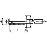 Blindniet Nietschaft dxl 3,0x5,0mm Stahl/Stahl 500 St.GESIPA - VPE: 500