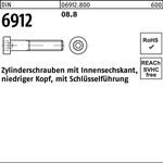 Zylinderschraube DIN 6912 Innen-6kt M4x 6 8.8 500 Stück - VPE: 500