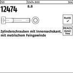 Zylinderschraube ISO 12474 Innen-6kt M10x1,25x 20 8.8 200 Stück - VPE: 200