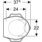 Geberit WC-Sitz BAMBINI m Absenkauto Schildkrötendesign gelbgrün