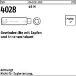 Gewindestift ISO 4028 Zapfen/Innen-6kt M20x 35 45 H 50 Stück - VPE: 50