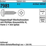 Kappenkopfblechschraube R 88981 PH 3,9x 16-H A 2 1000 Stück - VPE: 1000