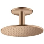 Kopfbrause 300 2jet AXOR Deckenmontage brushed red gold