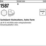 Sechskanthutmutter DIN 1587 M22 SW 32 6 hohe Form10 Stück - VPE: 10