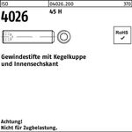 Gewindestift ISO 4026 Kegelkuppe/Innen-6kt M8x 6 45 H 500 Stück - VPE: 500