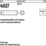 Gewindestift ISO 4027 Spitze/Innen-6kt M10x 12 45 H 200 Stück - VPE: 200