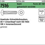 Gewindeschneidschraube DIN 7516 LIKO ISR AE M6x25-T30 Stahl galv.verz. 500St. - VPE: 500