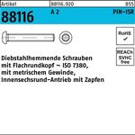 Schraube R 88116 diebstahlhemmend ISR Zapfen M10x 30-T45 A 2 100 Stück - VPE: 100