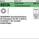 Sperrkantscheibe R 88124 NSK-M 16 Federstahl zinklamellenb. 500St. TECKENTRUP - VPE: 500