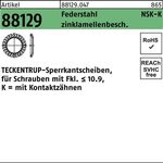 Sperrkantscheibe R 88129 NSK-K 8 Federstahl zinklamellenb. 1000St. TECKENTRUP - VPE: 1000