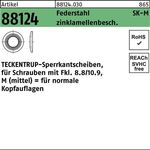 Sperrkantscheibe R 88124 M4x10,2x1 Federstahl zinklamellenb. 250St. TECKENTRUP - VPE: 250