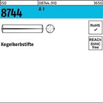 Kegelkerbstift ISO 8744 5x 10 A 1 100 Stück - VPE: 100