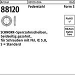 Sperrzahnscheibe R 88120 beids.gez. S18x27x1,5 Federstahl 250St. SCHNORR - VPE: 250