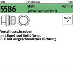 Verschlußschraube DIN 5586 FormB BG 1 1/2 A + Entlüftung Stahl gal Zn 25 Stück - VPE: 25