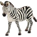 Zebra Stute