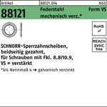 Sperrzahnscheibe R 88121 beids.gez. VS6x10x1 Federst. mech.verz. 250St. SCHNORR - VPE: 250