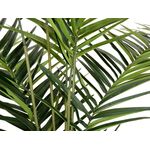 EUROPALMS Kentia Palme, Kunstpflanze, 240cm