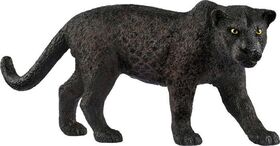 Schwarzer Panther