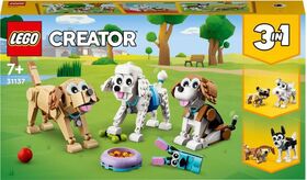 Creator Niedliche Hunde