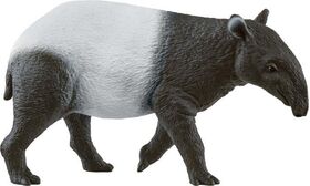 Tapir