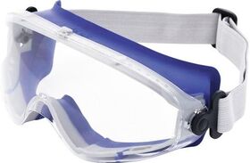 Vollsichtschutzbrille DAYLIGHT TOP EN 166 Rahmen blau,Scheibe klar PC PROMAT