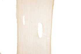 EUROPALMS Halloween Dekostoff, grobmaschig, beige, 75x300cm