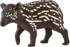 Tapir Junges