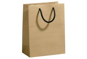 ZOEWIE  Tasche Midi Kraft 17x22,5x9 br - 10 VPE