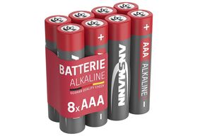 ANSMANN Batterie Micro Alkaline Batterien