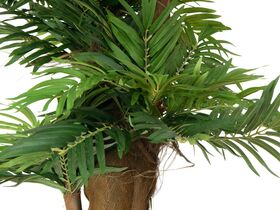 EUROPALMS Areca Palme, Kunstpflanze, 140cm