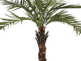 EUROPALMS Kentia Palme deluxe, Kunstpflanze  300cm