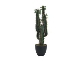 EUROPALMS Mexikanischer Kaktus mit Blättern, 75cm