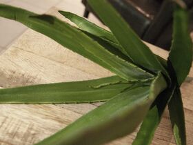 EUROPALMS Aloe (EVA), künstlich, grün, 50cm