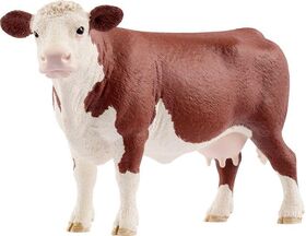 Hereford Kuh