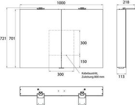 Emco LED-Lichtspiegelschr. FLAT 2 STYLE AP 1000x721mm 2-tü m Aufsatzstrahler Alu