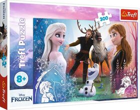 Pz.Disney Frozen 300T