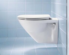 Duravit WC-Sitz o Absenkauto Scharn Edelstahl pergamon