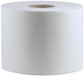 CWS Toilettenpapier Maxi 100 hw 2-lagig 24 Rollen 825 Blatt