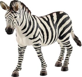 Zebra Stute