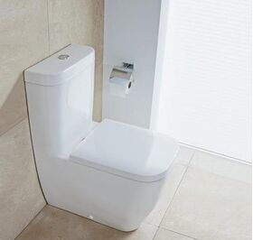 Duravit Stand-WC-Kombination HAPPY D.2 tief, 365x630mm, Abgang Vario weiß WG