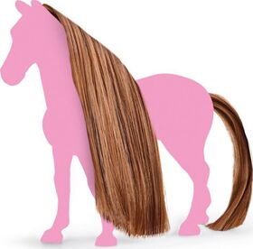 Haare Beauty Horses Choco