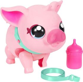 LLP - Mein Hausschwein - Piggly