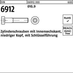 Zylinderschraube DIN 6912 Innen-6kt M12x 25 010.9 100 Stück - VPE: 100