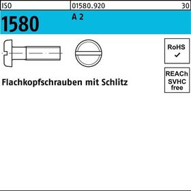 Flachkopfschraube ISO 1580 Schlitz M6x 30 A 2 200 Stück - VPE: 200