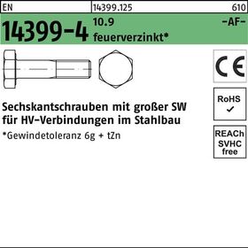 Sechskantschraube EN 14399-4 M12x 50 10.9 feuerverz. 1 Stück FRIEDBERG