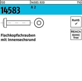 Flachkopfschraube ISO 14583 ISR M8x 20 A 2 500 Stück - VPE: 500