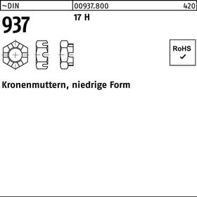 Kronenmutter DIN 937 niedrige FormM14 17 H 50 Stück - VPE: 50