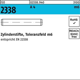 Zylinderstift ISO 2338 8 m6x 55 A 4 100 Stück - VPE: 100