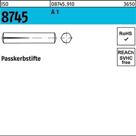 Passkerbstift ISO 8745 3x 6 A 1 100 Stück - VPE: 100