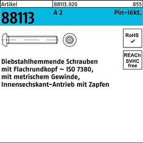 Schraube R 88113 diebstahlh. Innen-6kt Zapfen M10x 16 A 2 100 Stück - VPE: 100